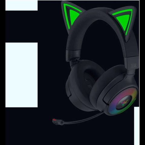 Razer Headset
