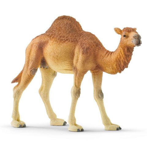 Schleich WILD LIFE 14832 детская фигурка