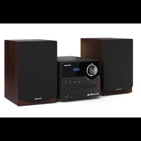 Sharp XL-B517D(BR)