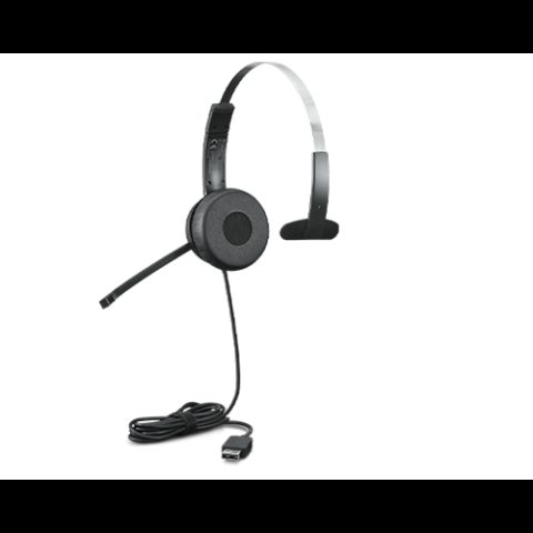 Lenovo 100 Mono Austiņas Vadu Birojs / zvanu centrs USB Type-A Melns