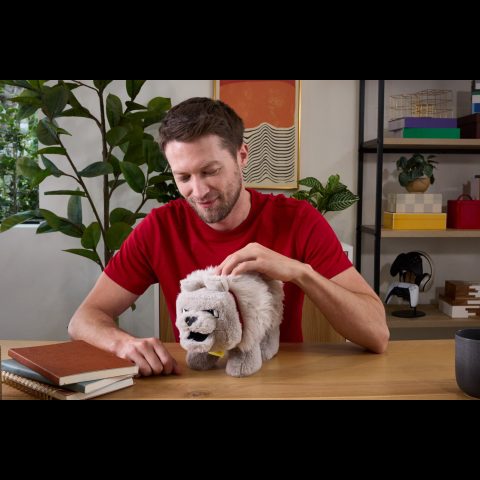 Minecraft Dennis the Wolf