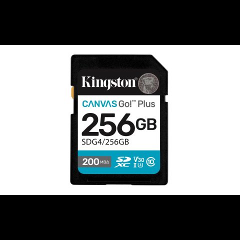 Kingston Technology Canvas Go! Plus 256 GB SDXC UHS-I Класс 10