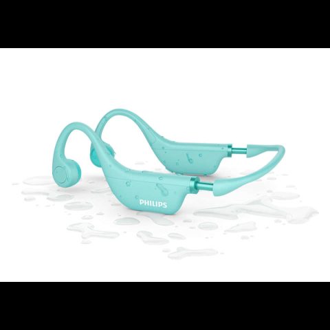 Philips TAK4607GR/00 наушники/гарнитура Беспроводной Заушины Музыка Bluetooth Зе…