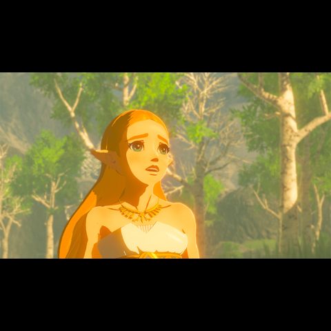 The Legend of Zelda: Breath of the Wild Switch Standard French Nintendo…