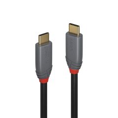 Lindy 36902 USB kabelis 1