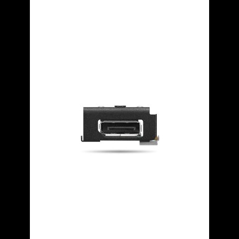 Lenovo 4XH1U89937 interface cards/adapter Internal DisplayPort
