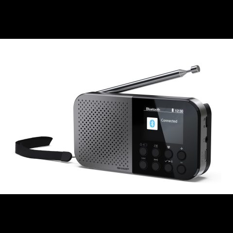 Sharp DR-P520 Personālais Digitāls Pelēks