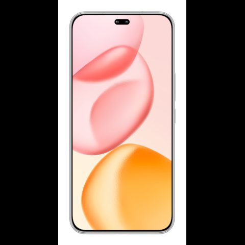 Honor 400 Pro 17 cm (6.7") MagicOS 9.0 5G 12 GB 512 GB 5300 mAh Pelēks