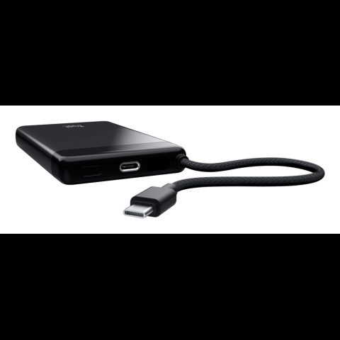 Trust 25880 power bank Lithium-Ion (Li-Ion) 10000 mAh Black