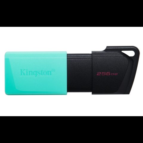 Kingston Technology DataTraveler Exodia M USB zibatmiņa 256 GB USB Type-A 3.2 Gen…