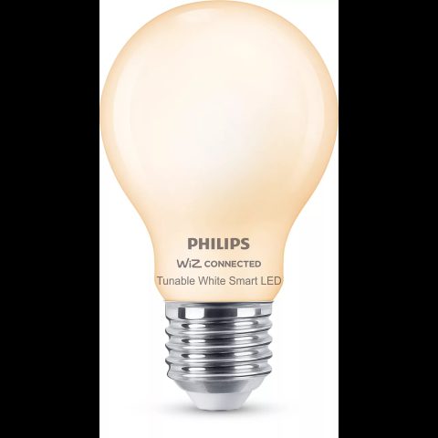 Philips 7 W (60 W) A60 E27 matēta stikla spuldze