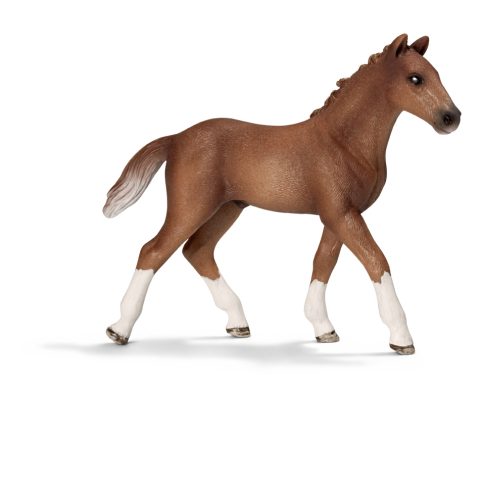 Schleich Hanoverian Foal