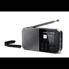Sharp DR-P520 Персональный Цифровой Серый