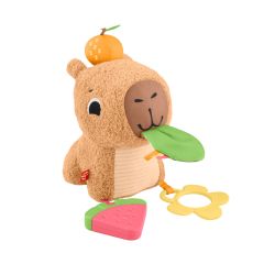 Mattel Fisher-Price Snuggly Snacky Capybara Plush Baby Sensory Toy with Teether…