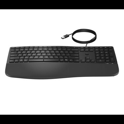 Hewlett Packard (HP) HP 485 Comfort laidinė klaviatūra- CZ/SK