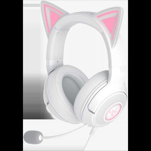 Razer Headset