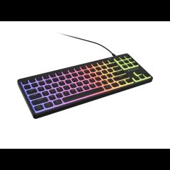 Genesis Thor 430 TKL keyboard Gaming USB QWERTY US English Black