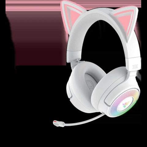 Razer Headset