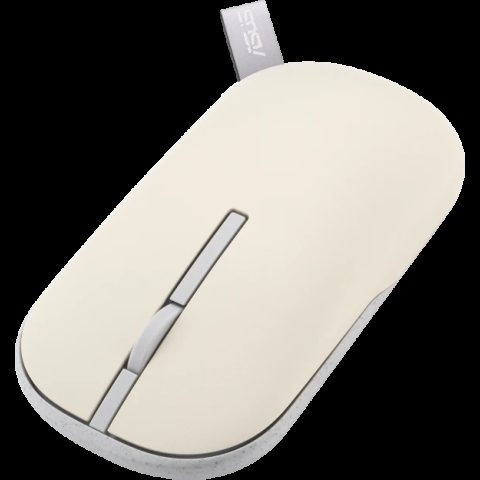 Asus MD100