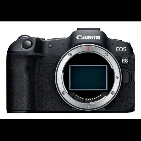 Canon EOS R8 + RF 24-50mm F4.5-6.3 IS STM Kit MILC 24
