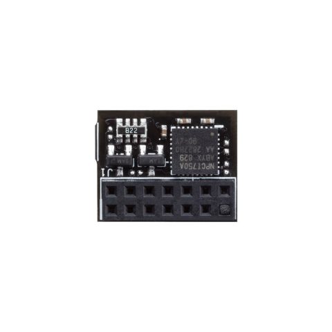 Asus TPM-SPI 2.0