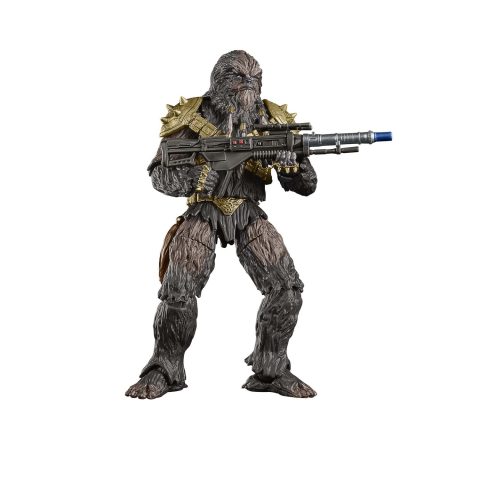 Hasbro Star Wars F83675L0 rotaļu figūriņa/varonis