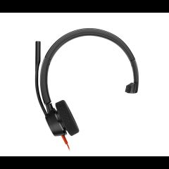 Hewlett Packard (HP) HP Poly Blackwire 3315 monoaurāls Microsoft Teams sertificēts USB-C galv…