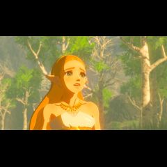 The Legend of Zelda: Breath of the Wild Switch Standarts Franču Nintendo…