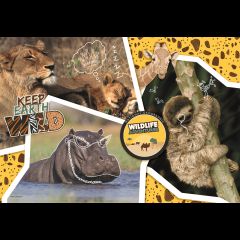 Clementoni 27143 puzzle