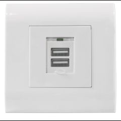 Intellinet 2-Port USB-A Wall Outlet with Faceplate