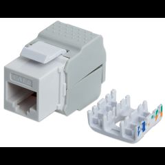 Intellinet 167062 модуль keystone