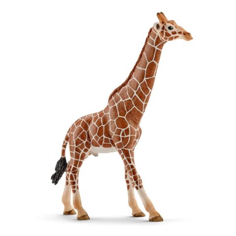Schleich WILD LIFE 14749 rotaļu figūriņa/varonis