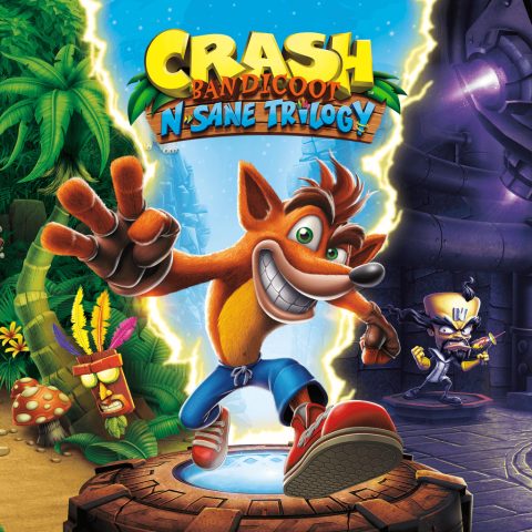 Activision Sony Interactive Entertainment Crash Bandicoot N. Sane Trilogy