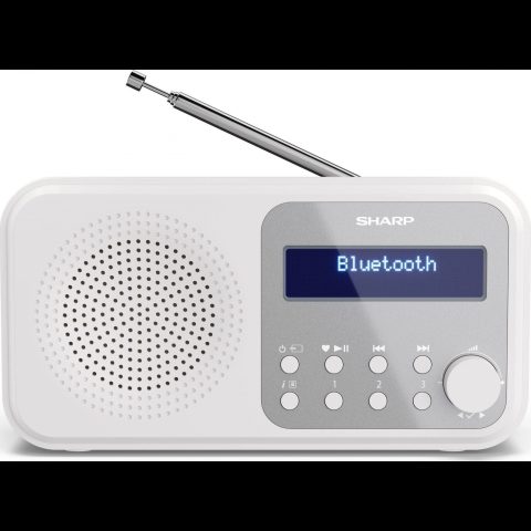 Sharp Tokyo Portable Digital Radio