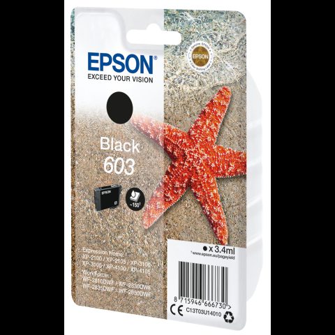 Epson 603