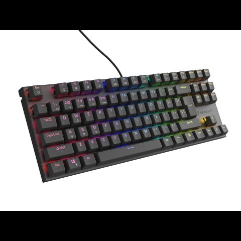 Genesis Thor 303 TKL tastatūra Speļu USB QWERTY US International Melns