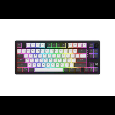 Hator Skyfall Pro Wireless 80 keyboard Gaming USB + RF Wireless + Bluetooth QW…