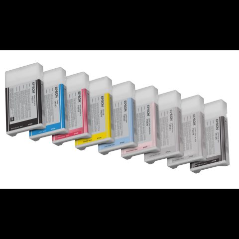 Epson T603600