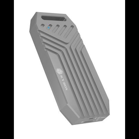 Icy Box IB-1919M-C42 SSD diska korpuss Sudrabs M.2