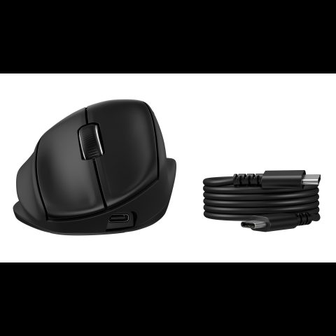 HP Tilt Ergonomic Mouse 725M