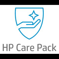 Hewlett Packard (HP) Tik HP 1Y PW NBD Exchange Phablet SVC
