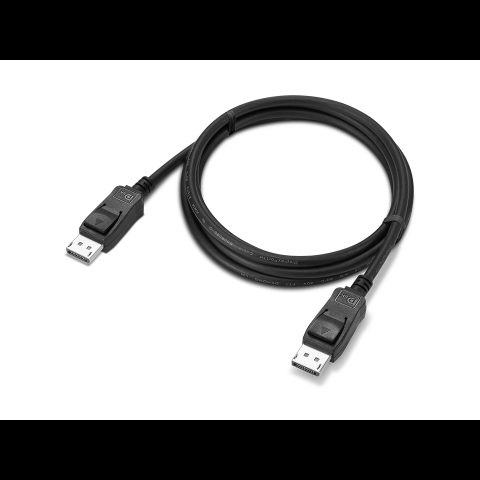 Lenovo 4X91U92142 DisplayPort kabelis 1