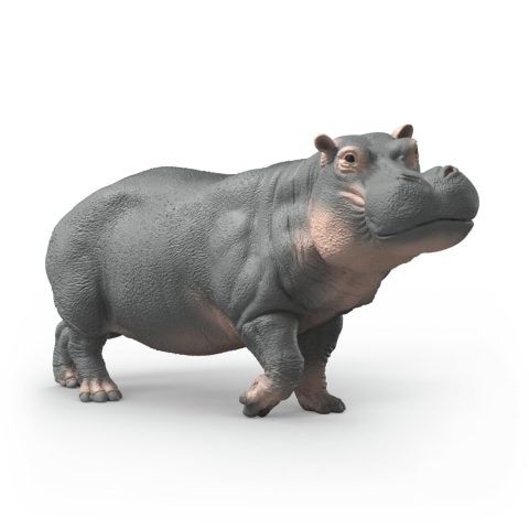 Schleich WILD LIFE 14938 rotaļu figūriņa/varonis