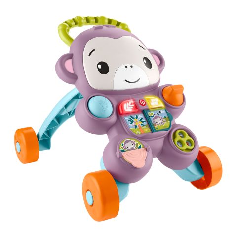 Fisher Price JGW90 bērna staigulis Daudzkrāsains